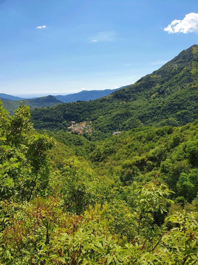 Borzonasca Il Bosco Di Campo Marzano Rooms & Apartments المظهر الخارجي الصورة