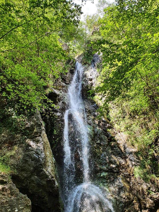 Borzonasca Il Bosco Di Campo Marzano Rooms & Apartments المظهر الخارجي الصورة