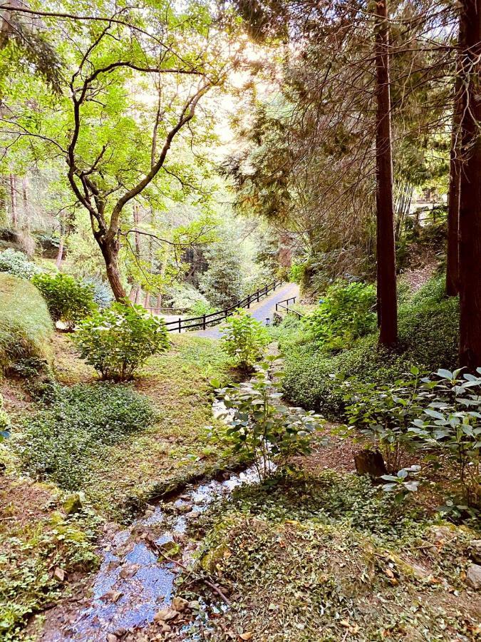 Borzonasca Il Bosco Di Campo Marzano Rooms & Apartments المظهر الخارجي الصورة