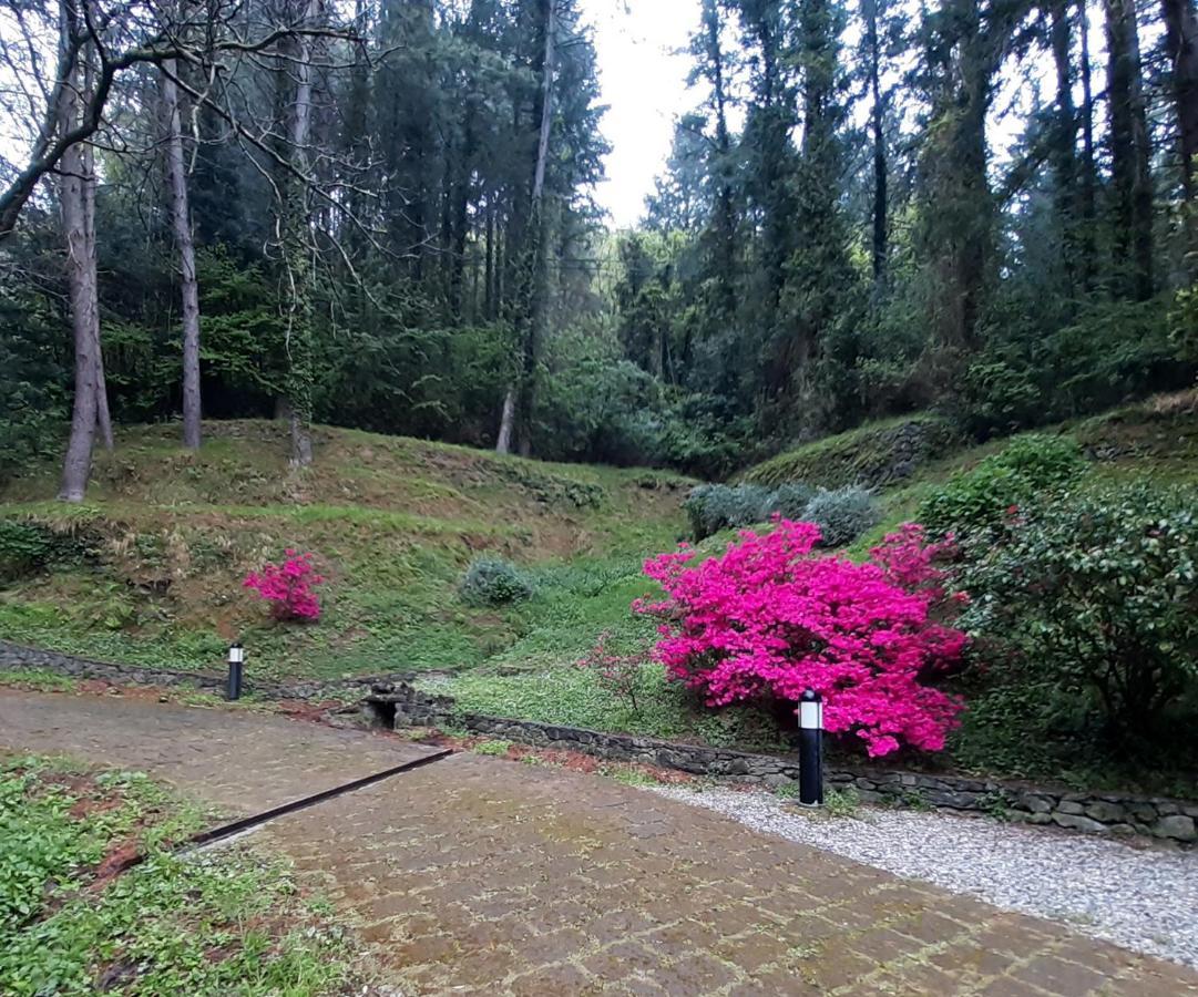 Borzonasca Il Bosco Di Campo Marzano Rooms & Apartments المظهر الخارجي الصورة