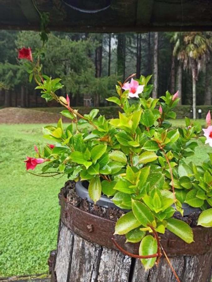 Borzonasca Il Bosco Di Campo Marzano Rooms & Apartments المظهر الخارجي الصورة