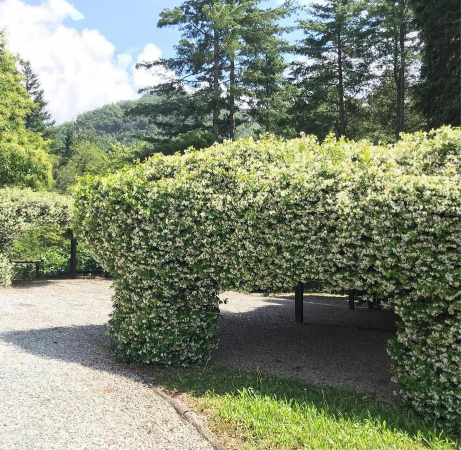 Borzonasca Il Bosco Di Campo Marzano Rooms & Apartments المظهر الخارجي الصورة