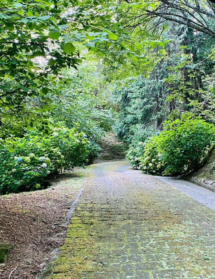 Borzonasca Il Bosco Di Campo Marzano Rooms & Apartments المظهر الخارجي الصورة