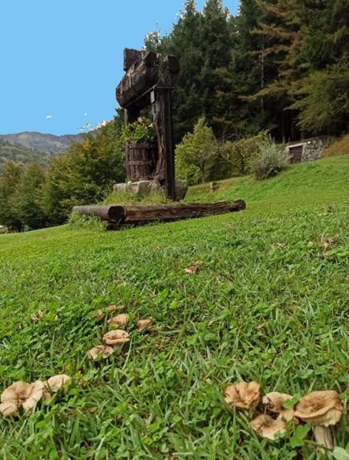 Borzonasca Il Bosco Di Campo Marzano Rooms & Apartments المظهر الخارجي الصورة