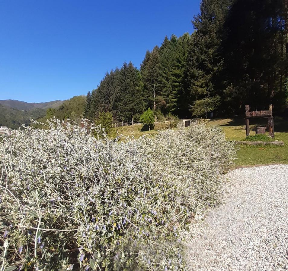 Borzonasca Il Bosco Di Campo Marzano Rooms & Apartments المظهر الخارجي الصورة