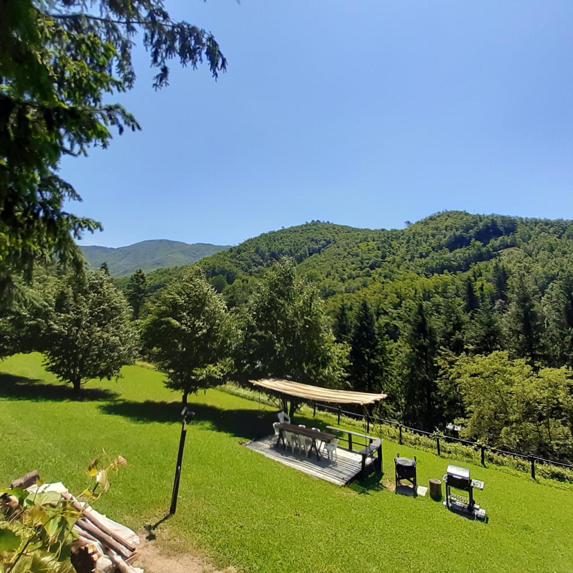 Borzonasca Il Bosco Di Campo Marzano Rooms & Apartments المظهر الخارجي الصورة
