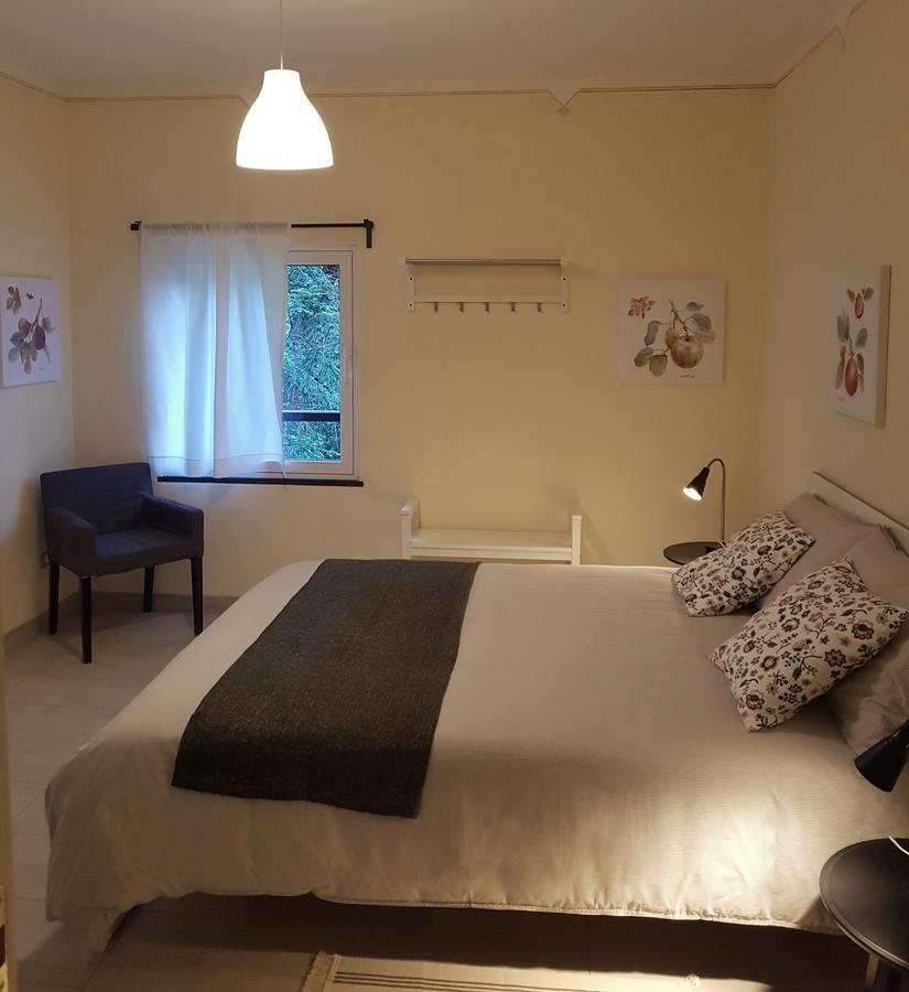 Borzonasca Il Bosco Di Campo Marzano Rooms & Apartments المظهر الخارجي الصورة