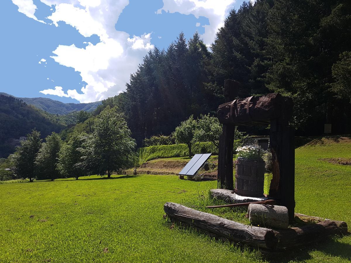 Borzonasca Il Bosco Di Campo Marzano Rooms & Apartments المظهر الخارجي الصورة