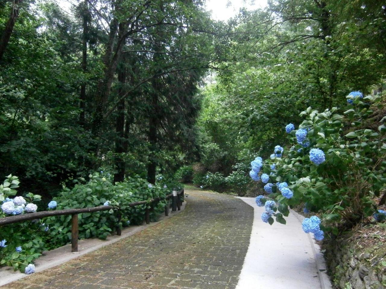 Borzonasca Il Bosco Di Campo Marzano Rooms & Apartments المظهر الخارجي الصورة