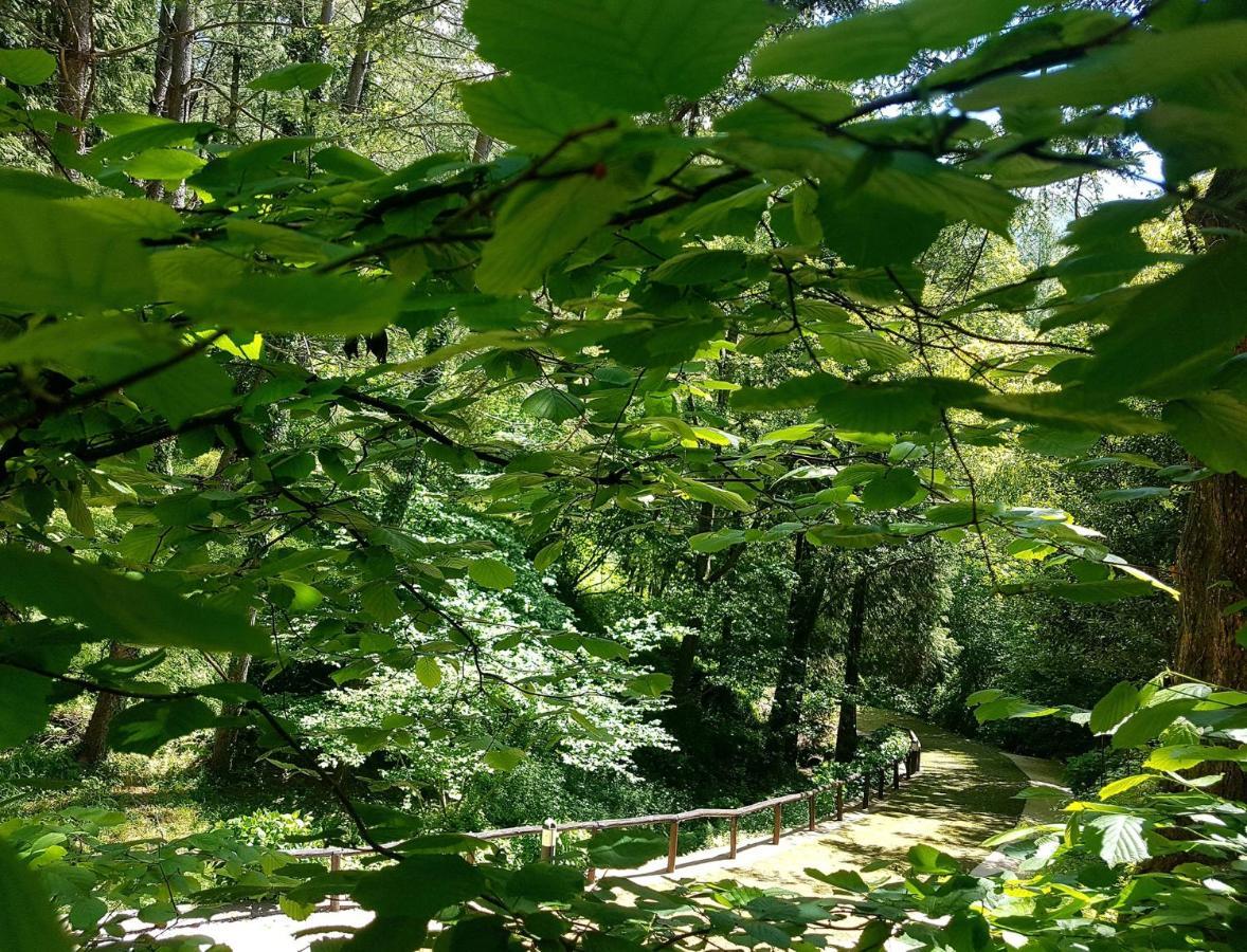 Borzonasca Il Bosco Di Campo Marzano Rooms & Apartments المظهر الخارجي الصورة