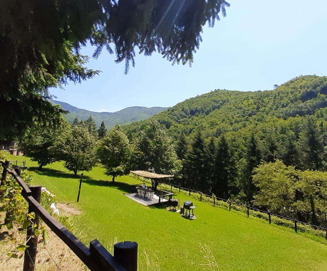 Borzonasca Il Bosco Di Campo Marzano Rooms & Apartments المظهر الخارجي الصورة